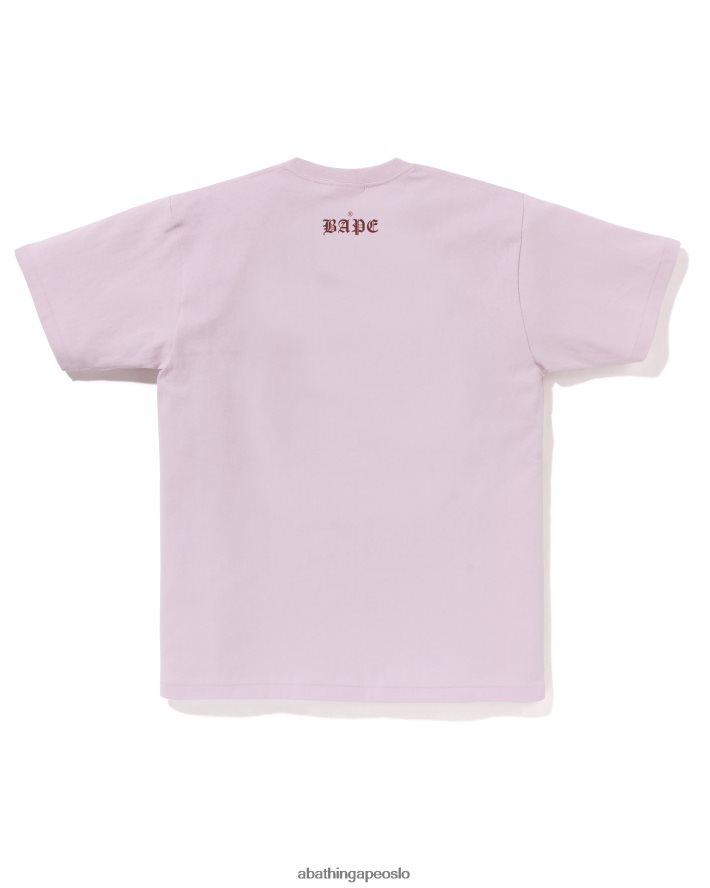 hode 1993 tee 6XV62054 pastell syrin A Bathing Ape menn